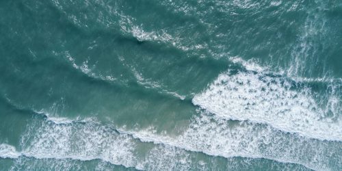 Navigating the Next Wave: How Enterprise Change Management Software Drives Human-Centric Transformation