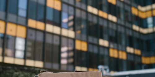 Adaptive Transformation: Why Organizations Must Shift from Planning to Learning